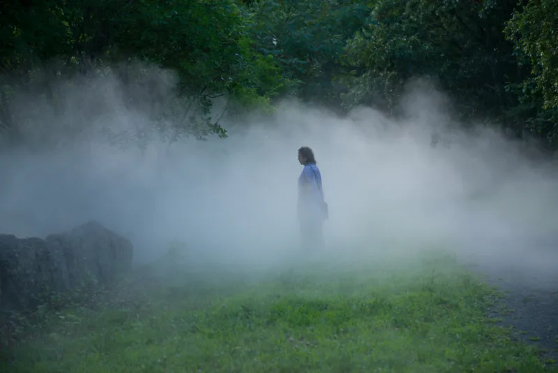 Fujiko Nakaya "Fog x Flo". Franklin Park, Boston, USA 2018. © Courtesy of the Emerald Necklace Conservancy, Photo: Melissa Ostrow