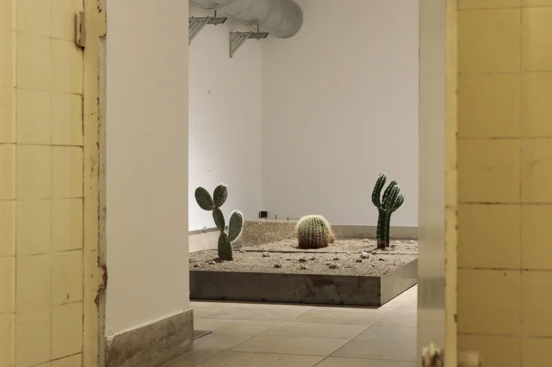 Cyrill Lachauer. I am not sea, I am not land, Installation view, Sammlung Goetz in Haus der Kunst, 2020, Courtesy Sammlung Goetz, Munich, Photo: Thomas Dashuber