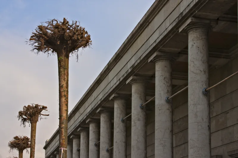 Gustav Metzger “Strampelde Bäumf"/Mirror Trees, installation view with trees overturned headfirst at the terrace of Haus der Kunst, 2010 photo: Marino Solokhov