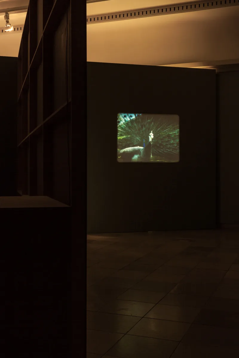 João Maria Gusmão & Pedro Paiva. Installation view, Haus der Kunst, 2016. Photo: Maximilian Geuter