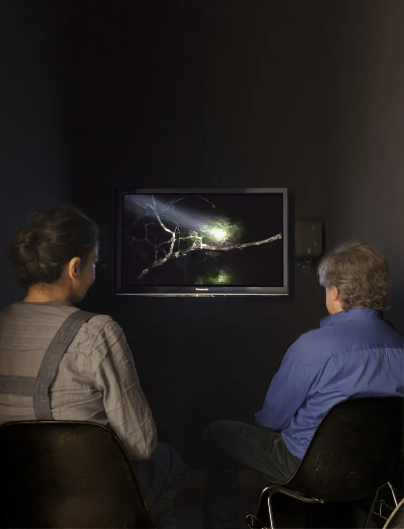 Janet Cardiff & George Bures Miller Night Canoeing, 2004 1-Kanal-Videoinstallation (Farbe, Ton) 50 x 90 cm (42 Zoll Bildschirmdiagonale) Plasmascreen, Lautsprecher Installationsansicht Haus der Kunst, 2012 Foto: Wilfried Petzi