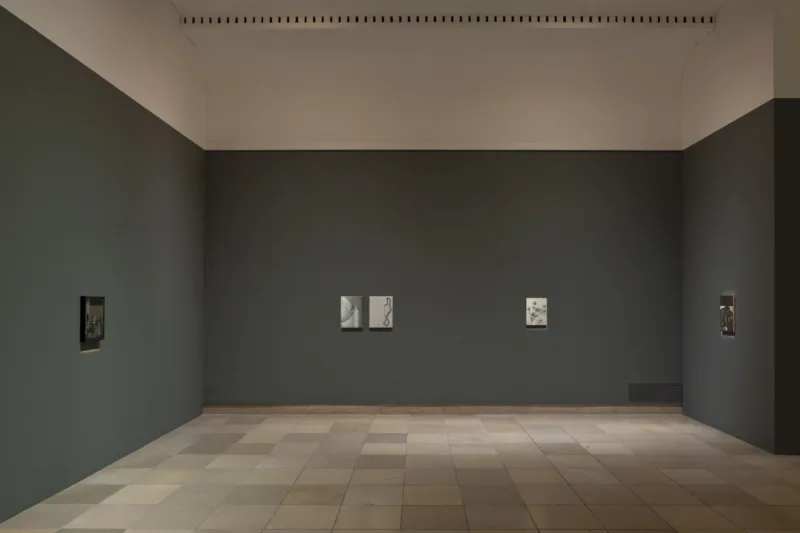 Victor Man: Installationsansicht Haus der Kunst, 2014, Foto: Wilfried Petzi