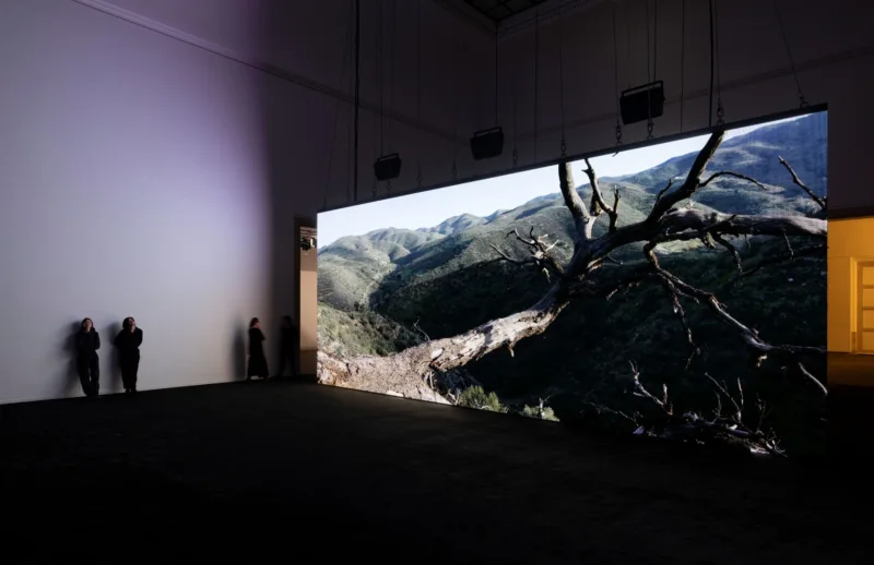 Auf einer riesigen Leinwand ist eine Berglandschaft projeziert. AN der Wand daneben lehnen sich Personen an.