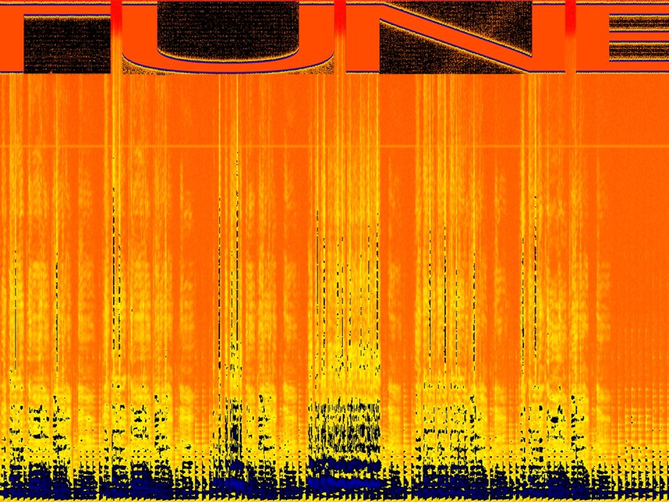 Eine bunte Grafik mit angedeuteten Sound-Wellen.